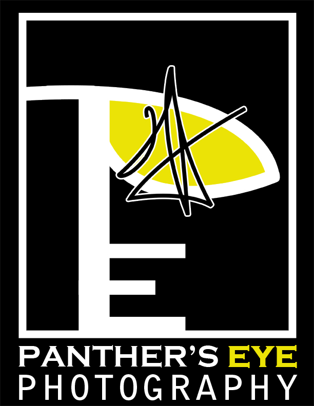 Panthers-Eye-Logo-by-Outspand