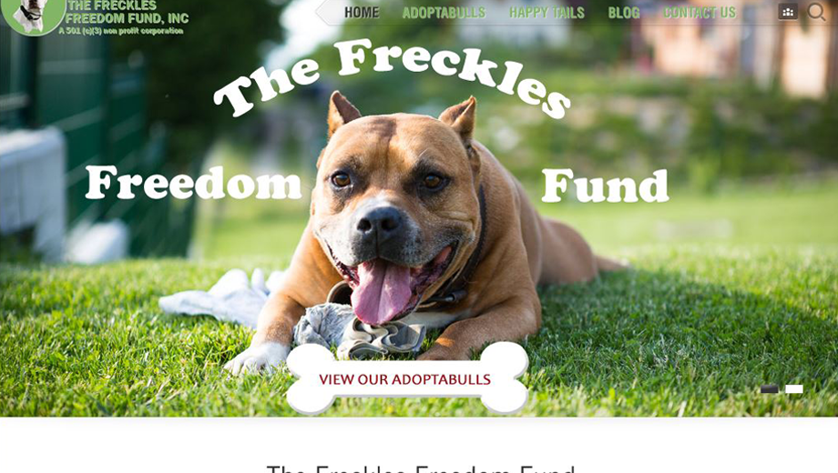 The_Freckles_Freedom_Fund_Outspand_Portfolio