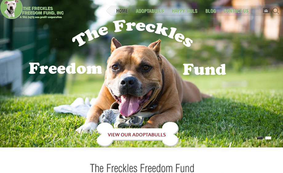 The_Freckles_Freedom_Fund_Outspand_Portfolio